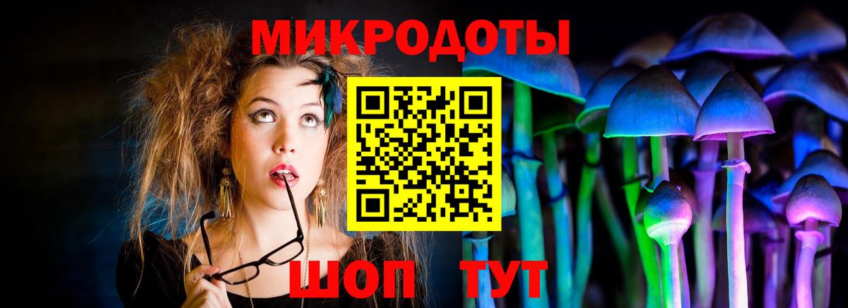 Лангепас  Галлюциногенные грибы Cubensis  Вход с VPN 